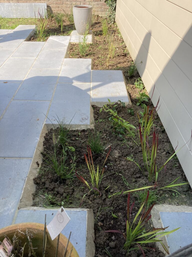 Terrasse en dalles béton