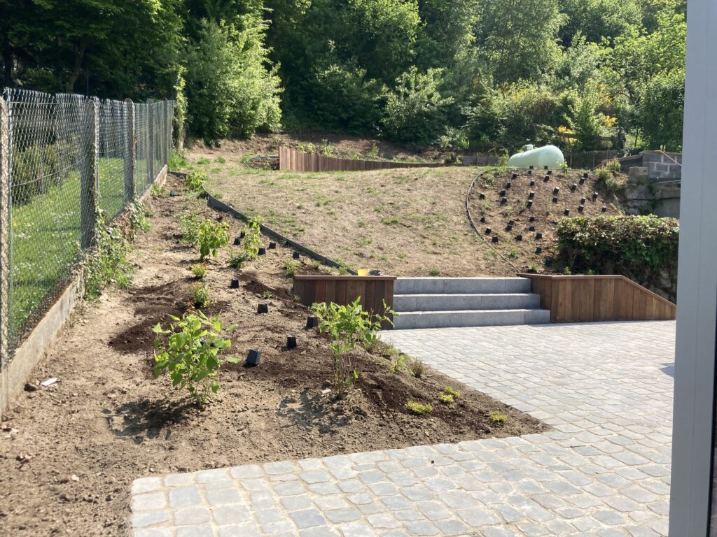 Parterre avant mise des copeaux