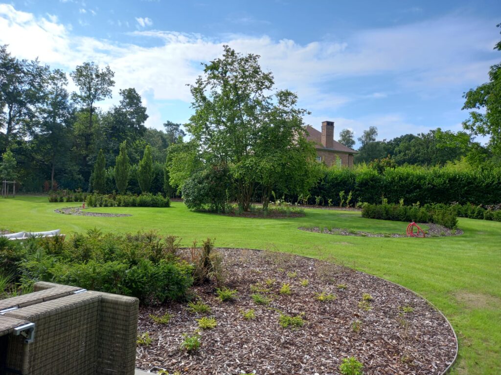 Plantation avec ecolattes2